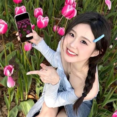警花燕子